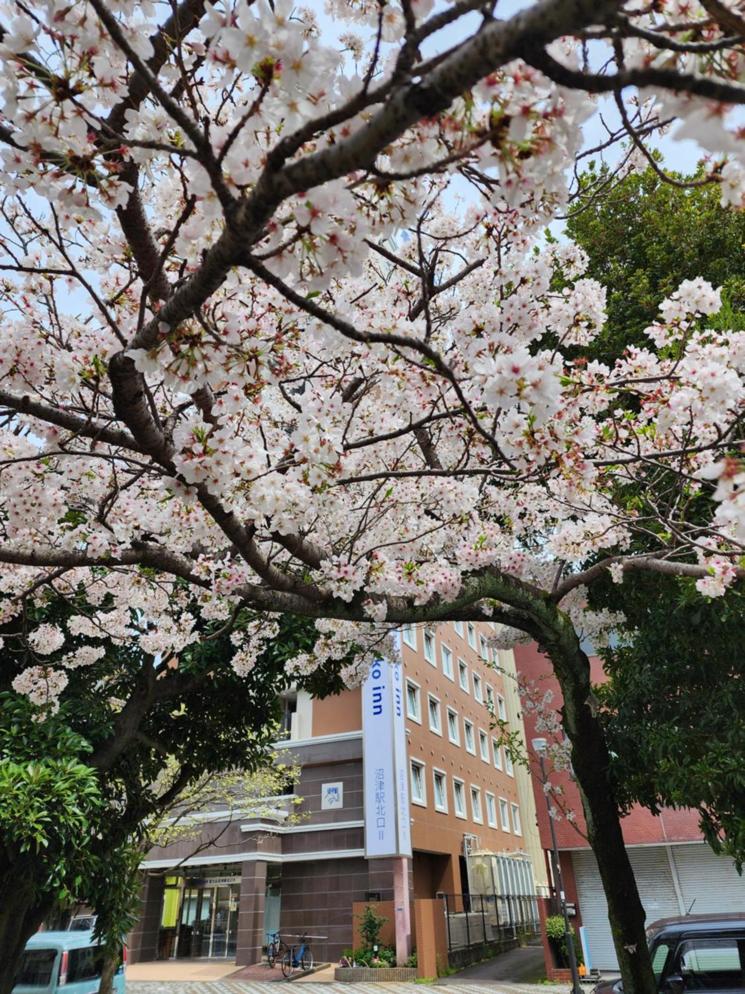 Toyoko Inn Fujisan Numazu Eki Kita Guchi No 2 Ngoại thất bức ảnh